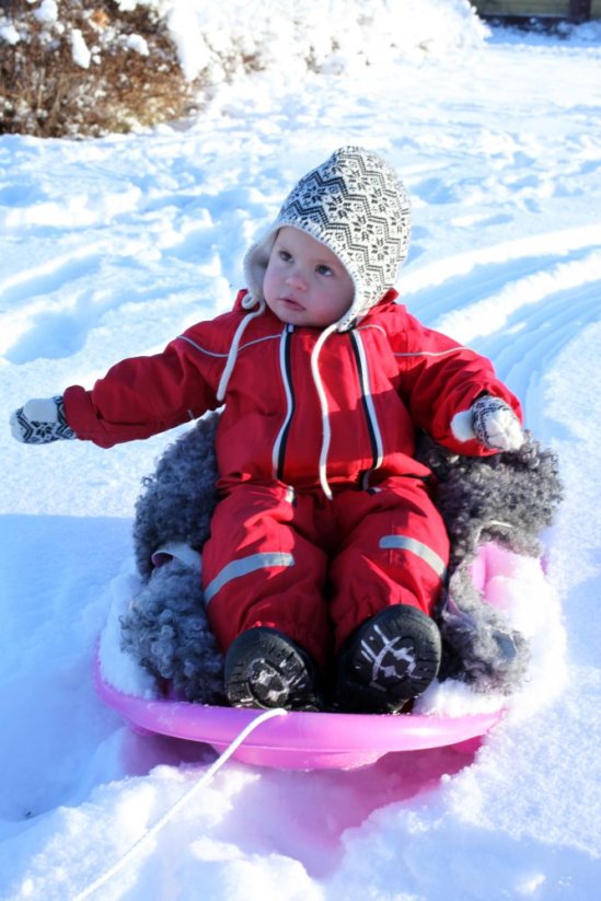 Dětské boby STIGA Baby Cruiser, černé