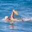 FINIS Agility Paddle Floating - Velikost: S