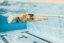 FINIS Forearm Fulcrums Sr