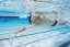 FINIS Stability Snorkel: Speed Black
