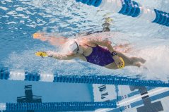 FINIS Bolster Paddles