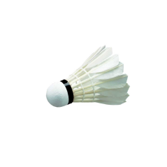 Badmintonové péřové míče WISH W-05 (12ks), speed 76