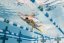 FINIS Edge Fins