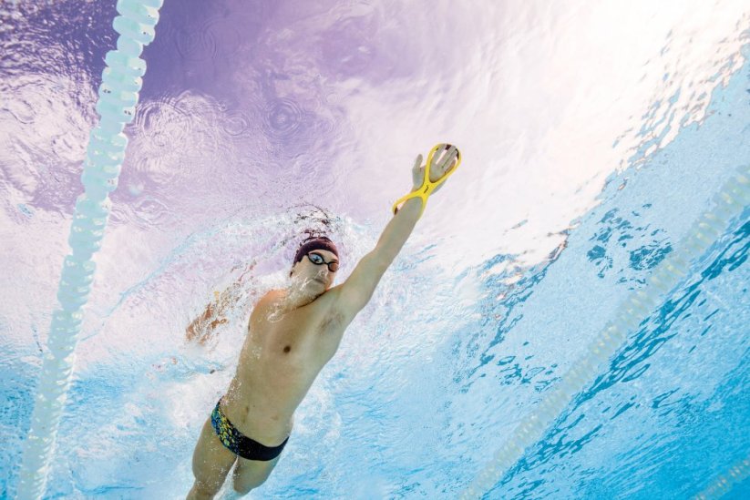 FINIS Forearm Fulcrums Sr