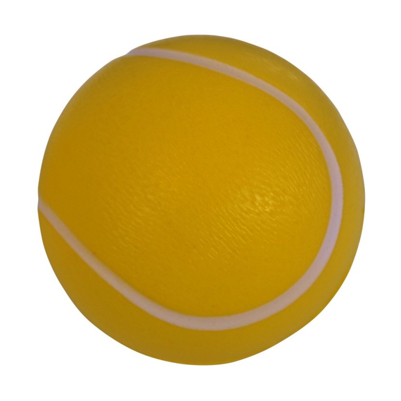 SCHILDKRÖT Fun-Hockey Set