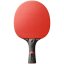 Pálka na stolní tenis STIGA Royal 5* Carbon